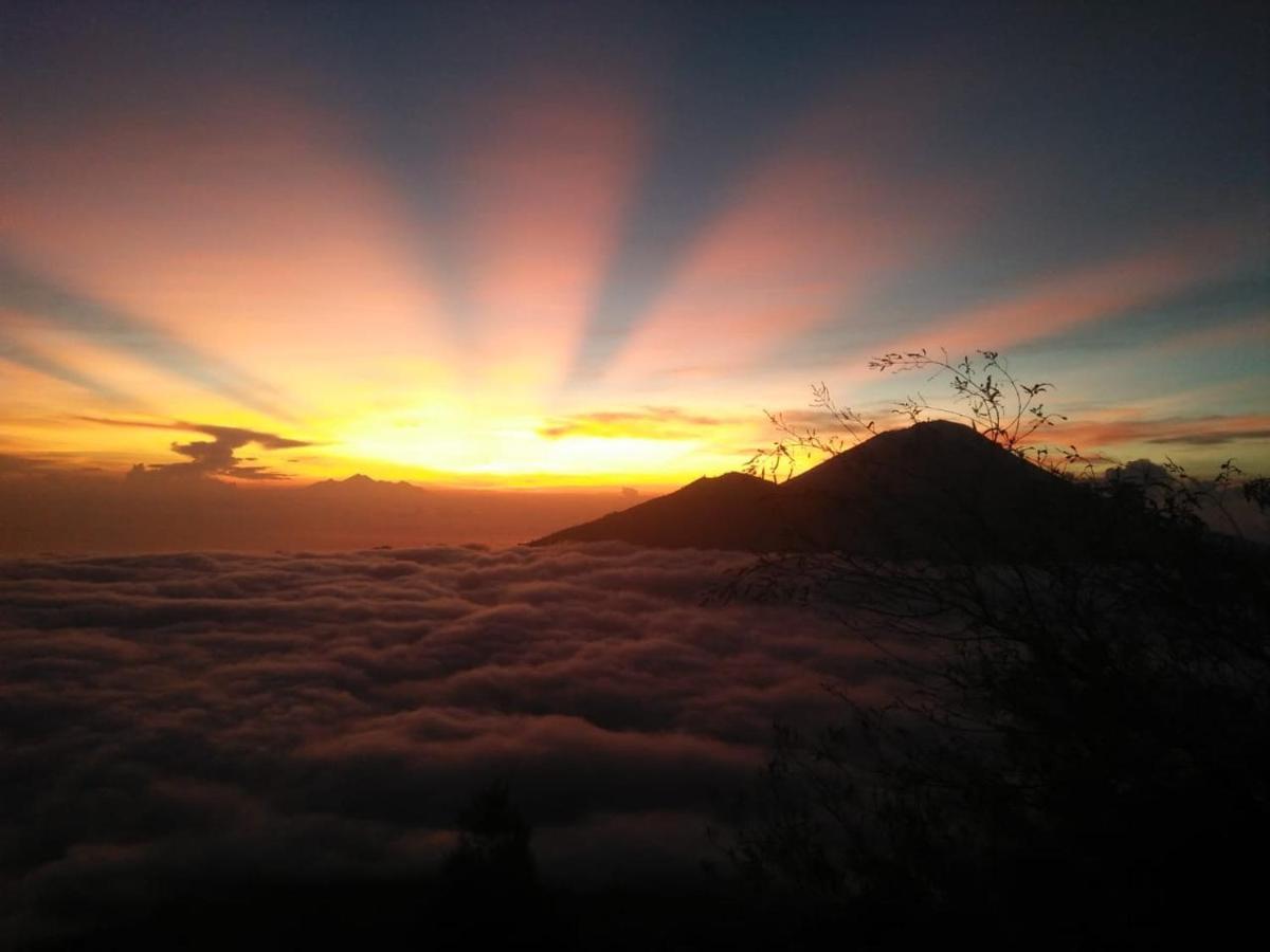 Batur Green Hill Kintamani  Luaran gambar